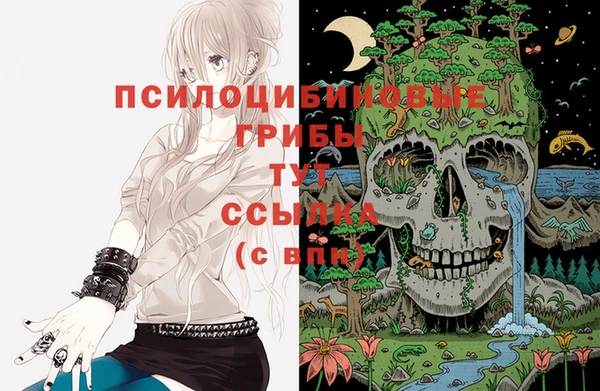 дмт Белоозёрский