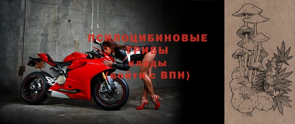 таблы Белокуриха